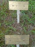 image of grave number 950369